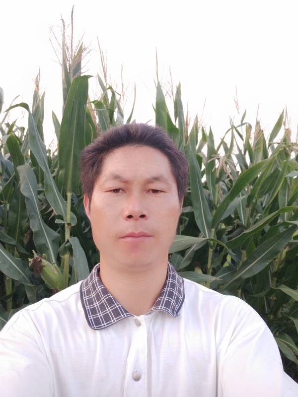 四海游龙的第二张照片--桂林相亲服务中心