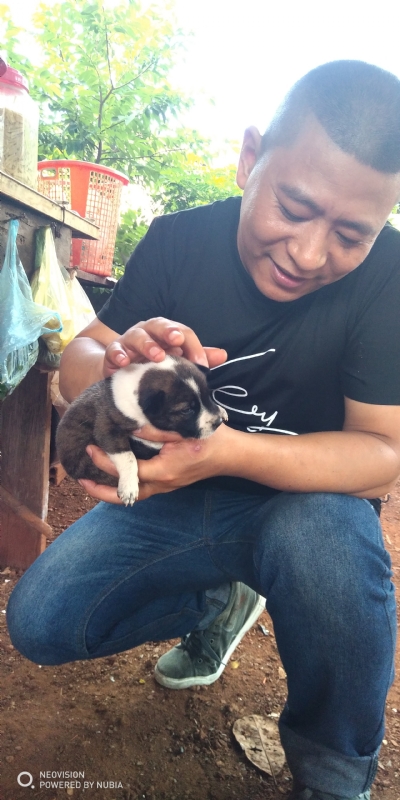 深圳相亲的第一张照片--桂林相亲服务中心