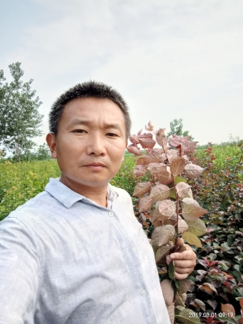 孩子爸的第一张照片--桂林相亲服务中心