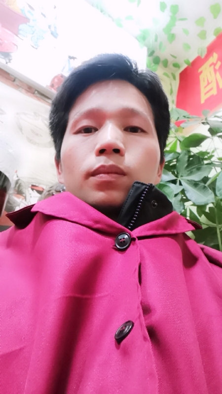 单身的林凡的第二张照片--桂林相亲服务中心